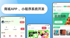 小程序+App开发+软件开发